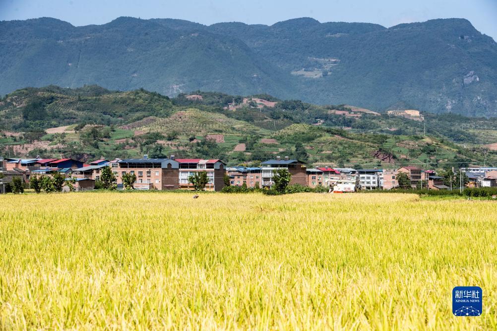 果敢老街华纳国际
